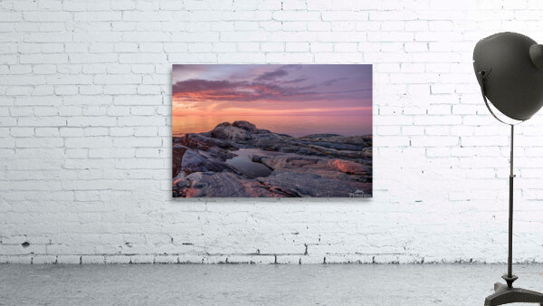 Vibrance Wall Preview