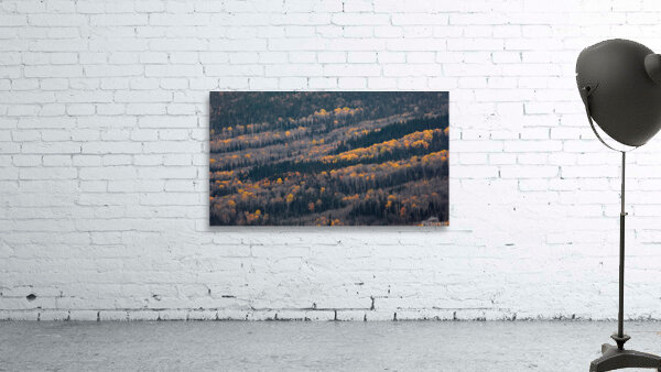 Layers Wall Preview