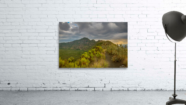 Kenya Wall Preview