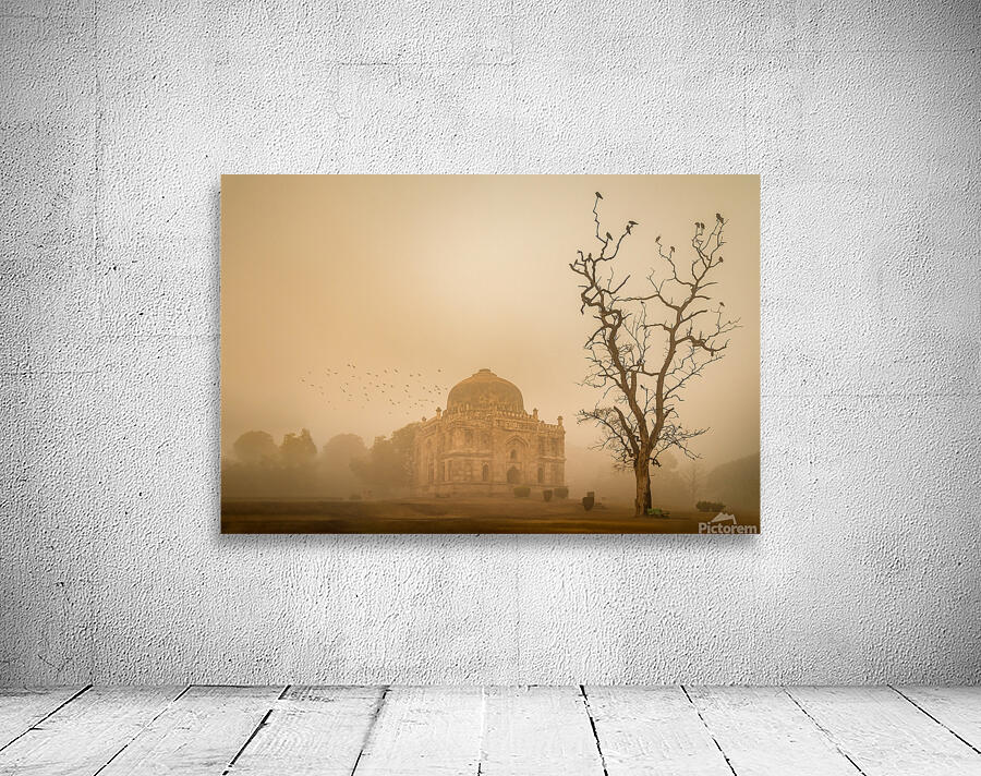 Delhi Wall Preview
