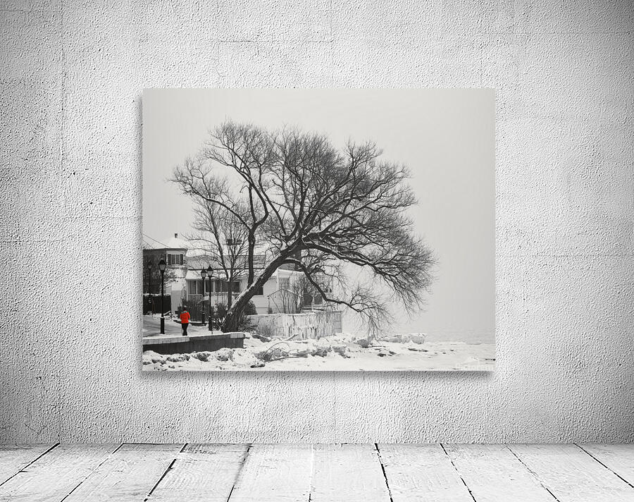 Quebec Wall Preview