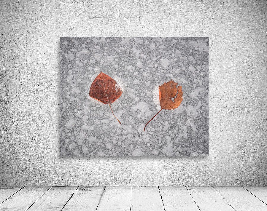 Suspended Wall Preview