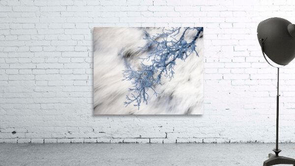 Freeze Wall Preview