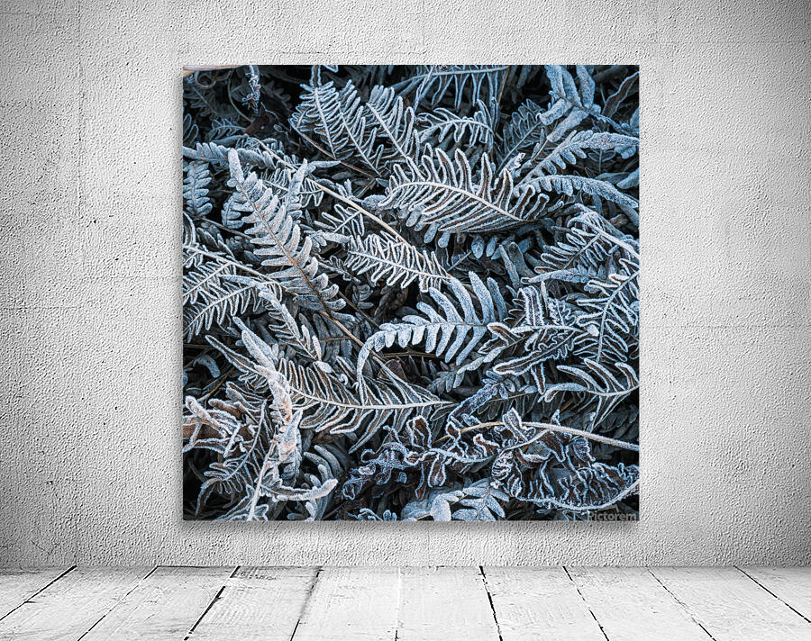 Crystalized Wall Preview