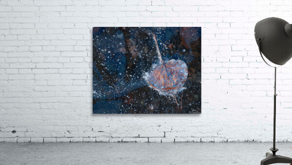Encased Wall Preview