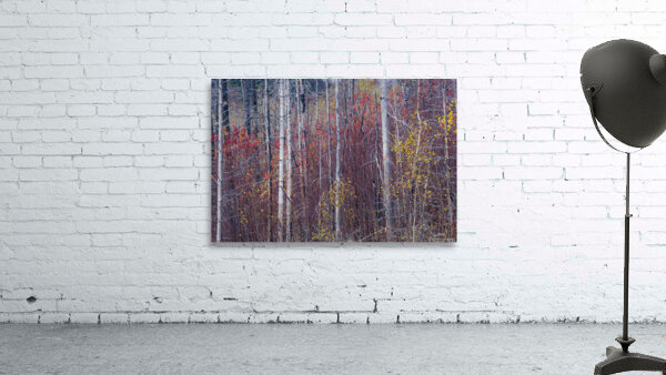 Ablaze Wall Preview