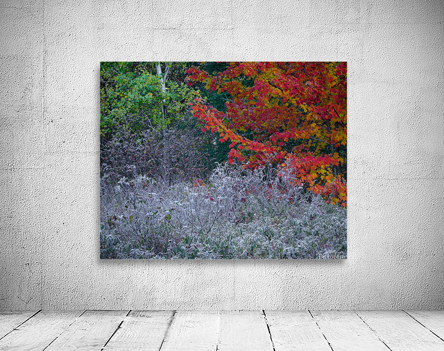 Overlap Wall Preview