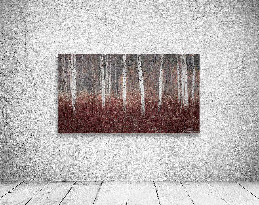 Melancholy Wall Preview