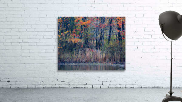 Painting Wall Preview