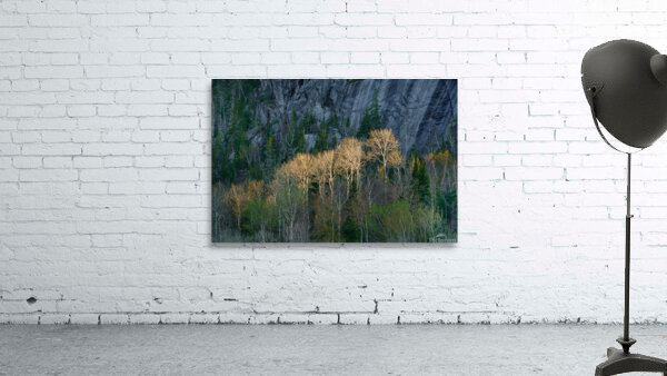 Enlighten Wall Preview