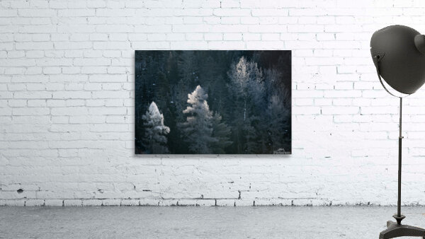 Glimpse Wall Preview