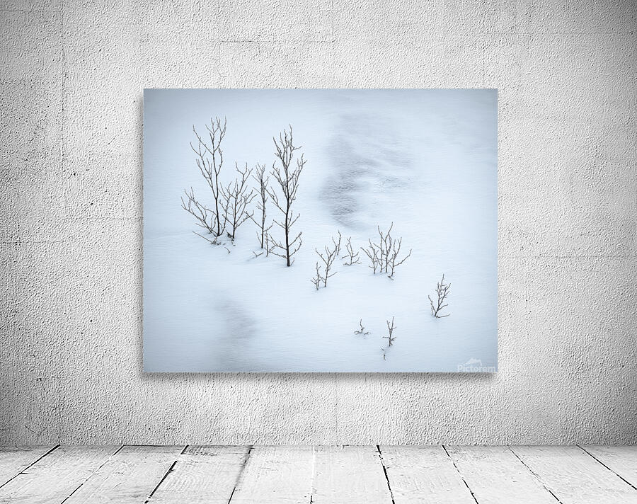 Snowplay Wall Preview
