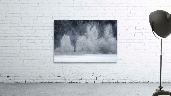Fleeting Wall Preview