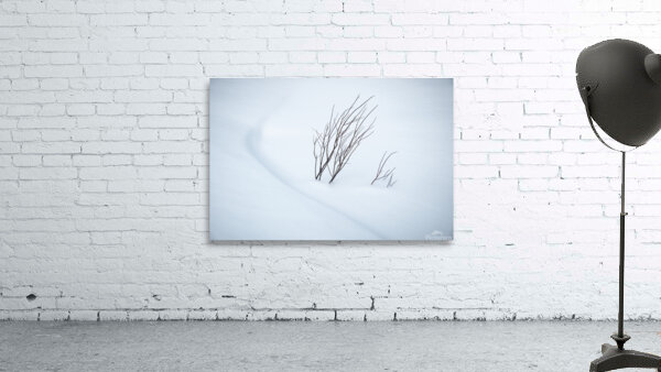 Symphony Wall Preview