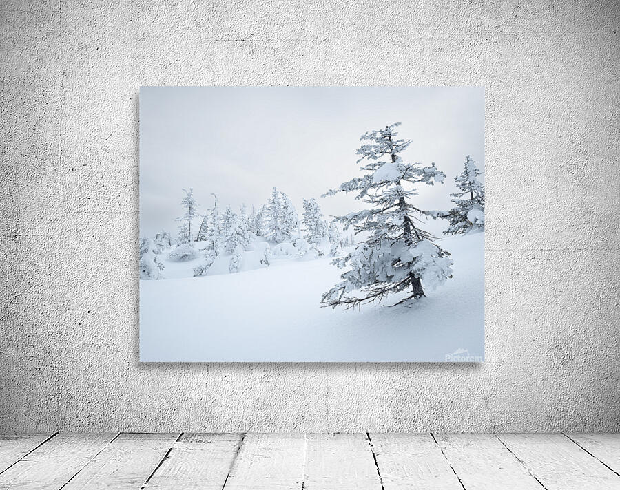 Winterportrait Wall Preview