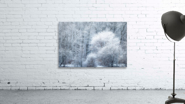 Harmony Wall Preview