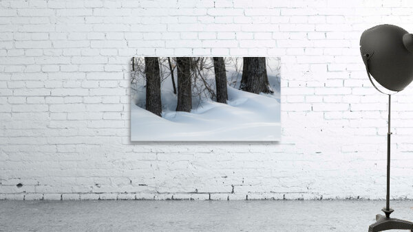Surrounded Wall Preview