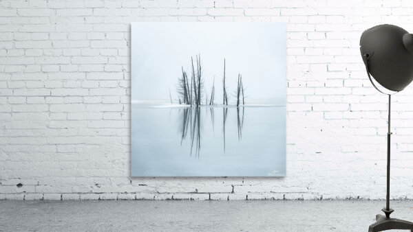 Complementary Wall Preview