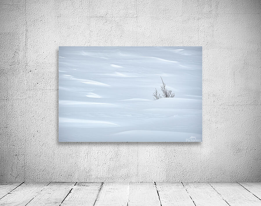 White Wall Preview
