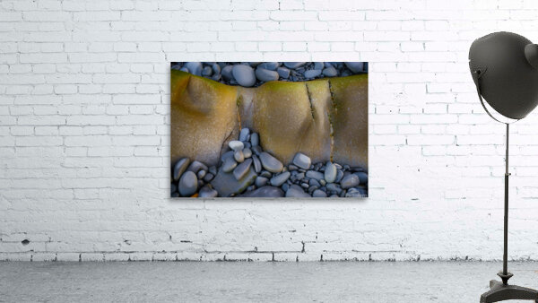 Fascination Wall Preview