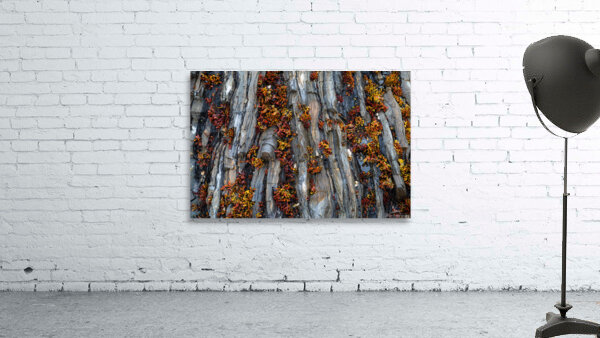Folded Wall Preview