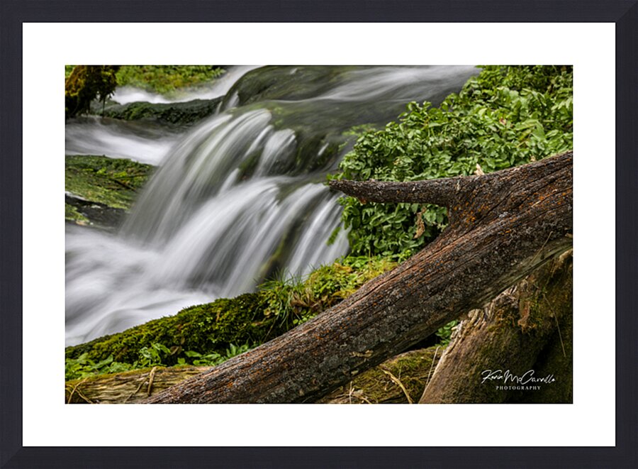 Rifle Falls Picture Frame print