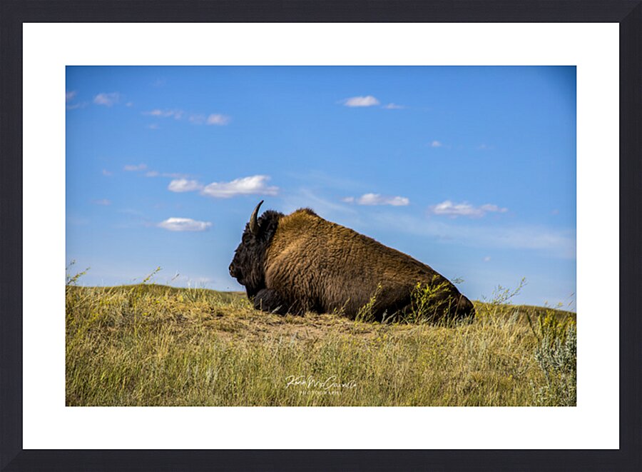 Prairie Guardian Picture Frame print