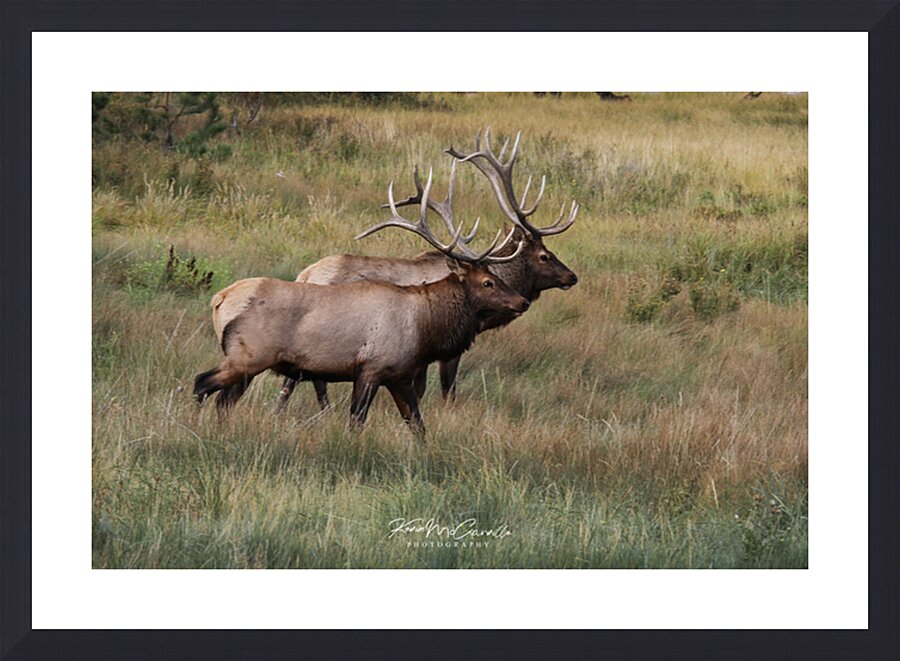 Rocky Mountain Stroll Picture Frame print