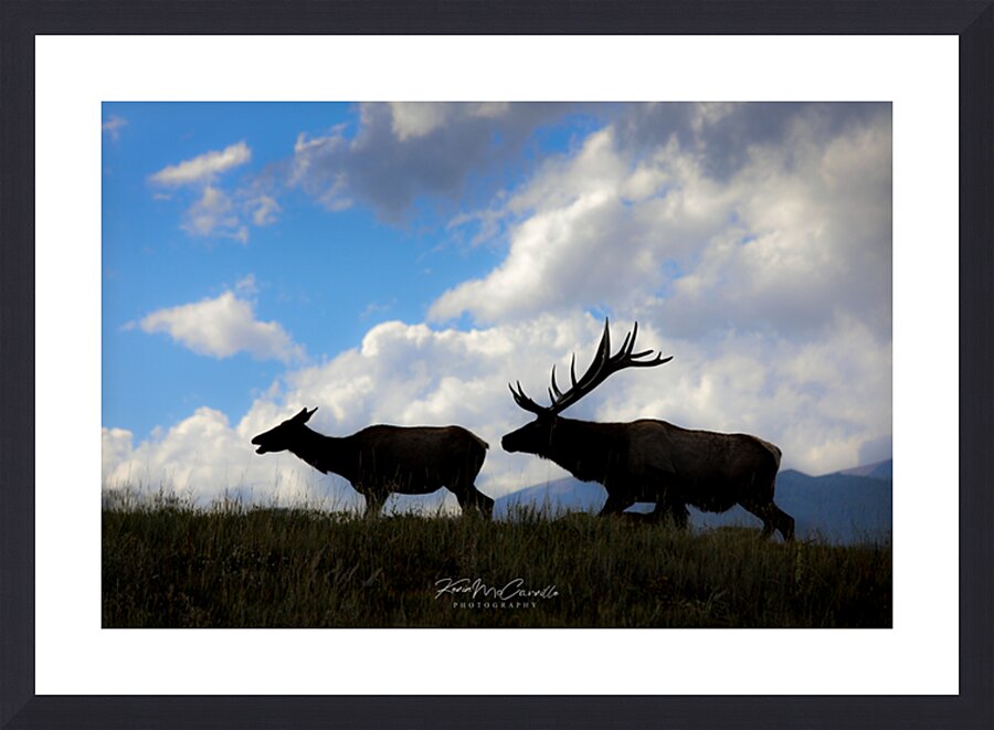 Follow Me Picture Frame print