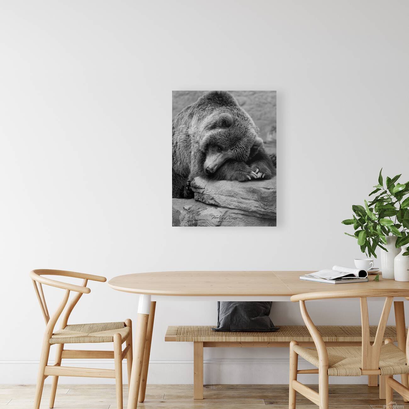 Tired Bear Reproduction