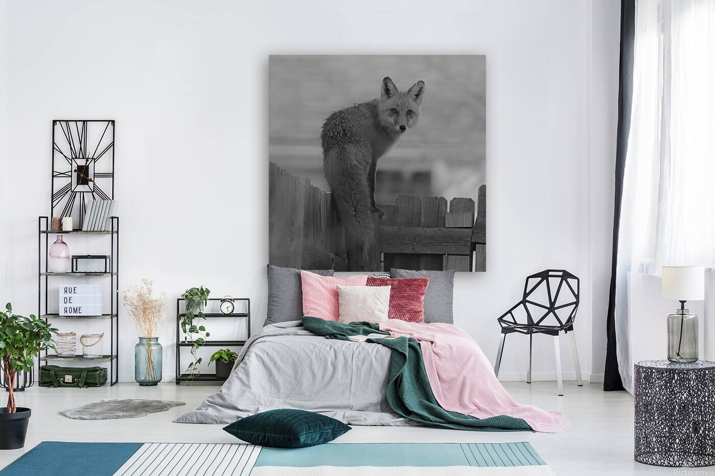 Fox on the Run Reproduction