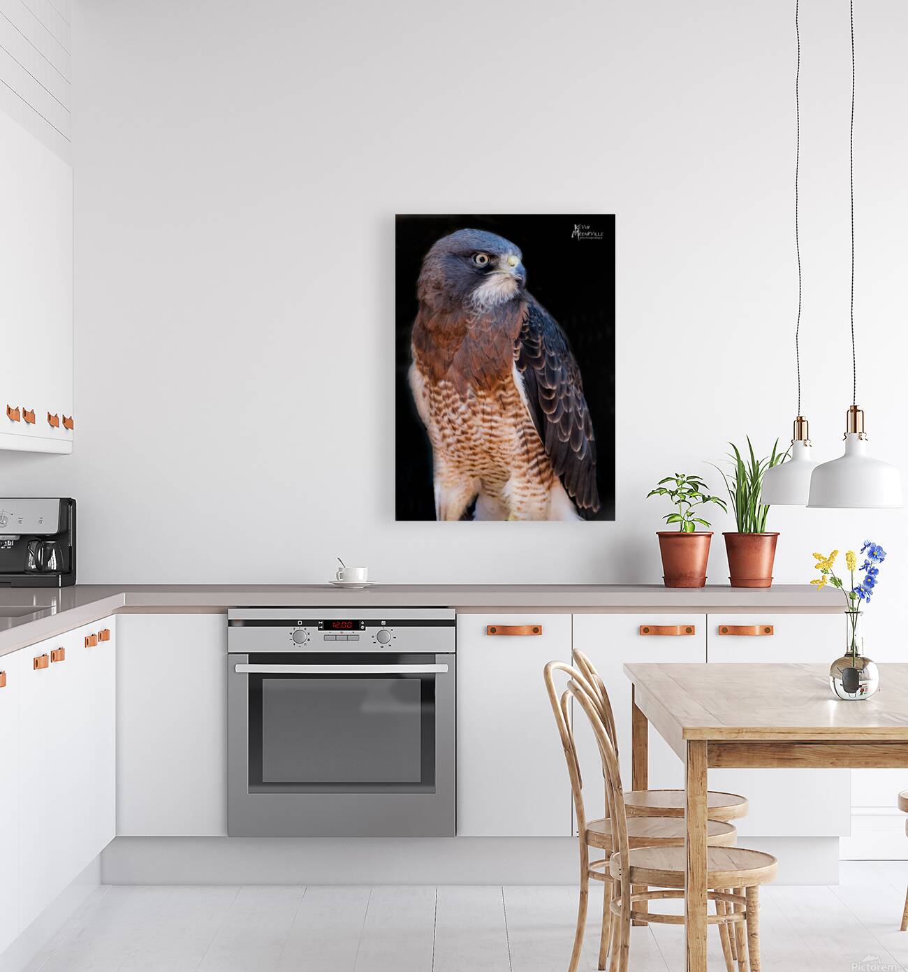 Falcon Reproduction