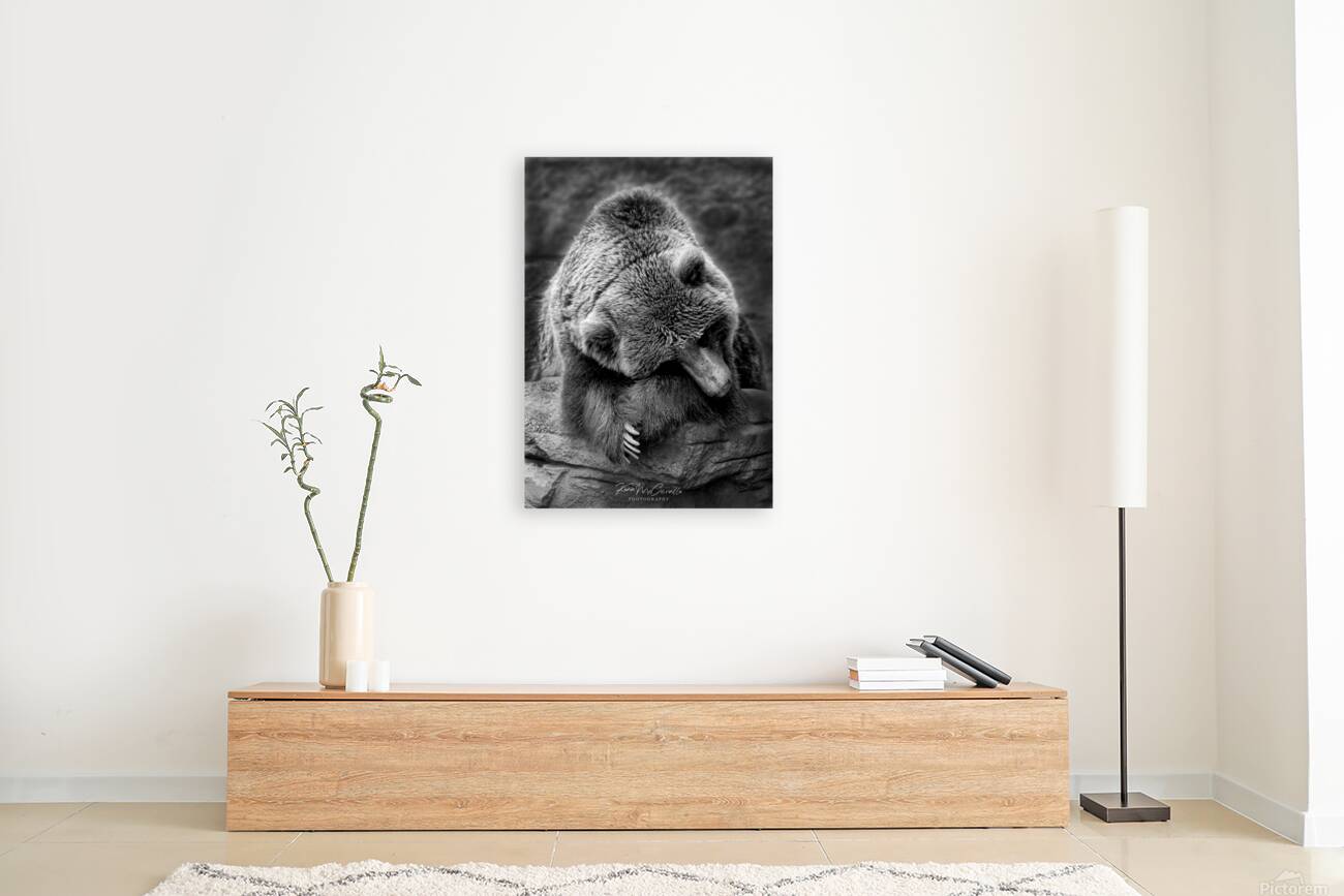 Bashful Bear Reproduction