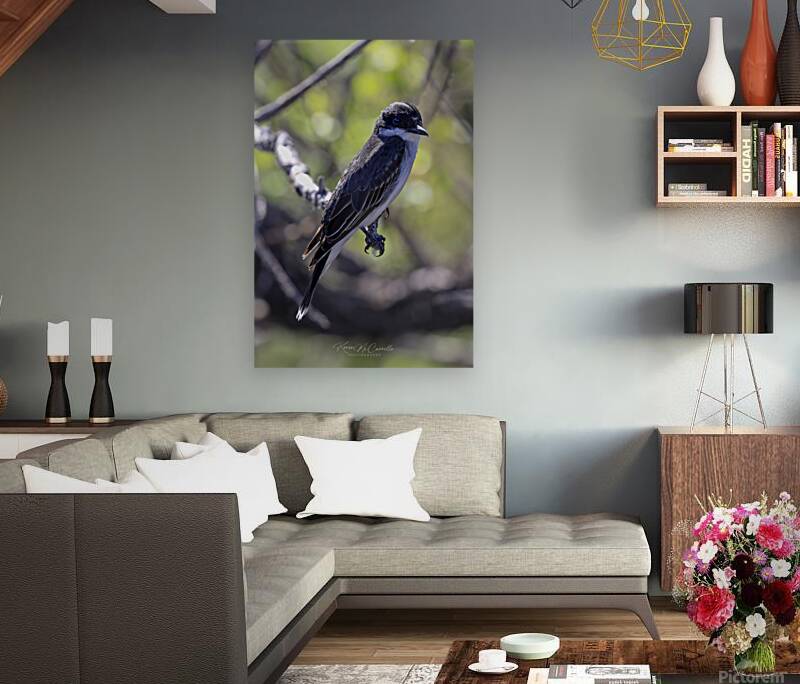 Pretty Bird Reproduction