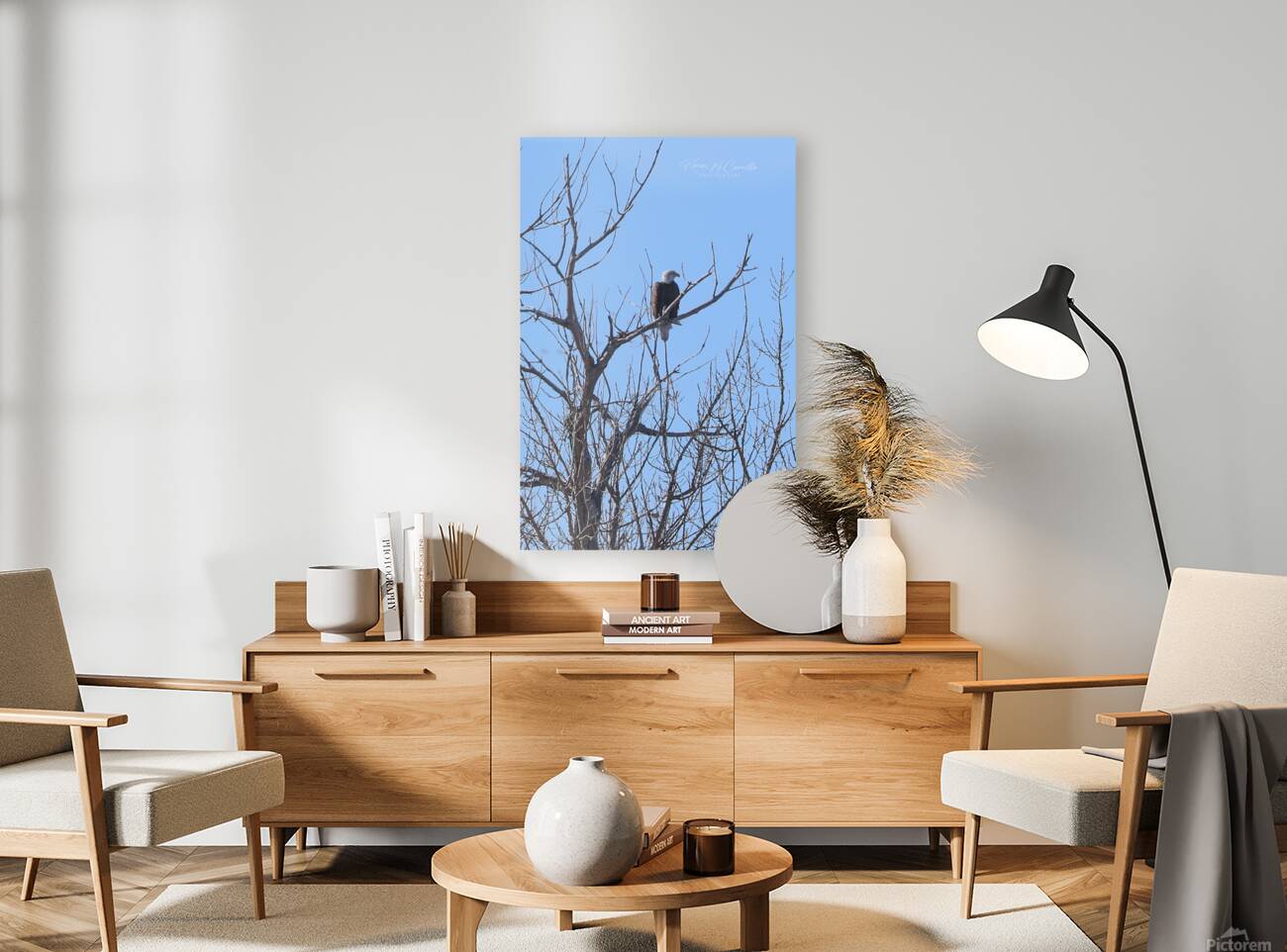 Bald Eagle Watch Reproduction