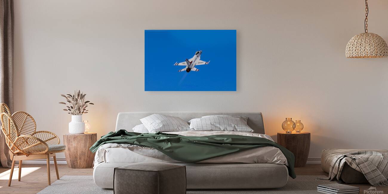 USAF Thunderbird Solo Reproduction