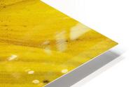 Sunflower Close Up HD Metal print