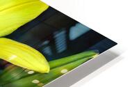 Yellow HD Metal print