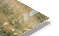 Rocky Mountain Stroll HD Metal print