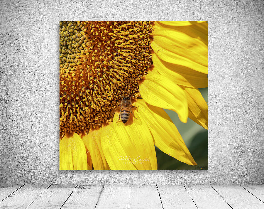Sunflower Closeup Wall Preview