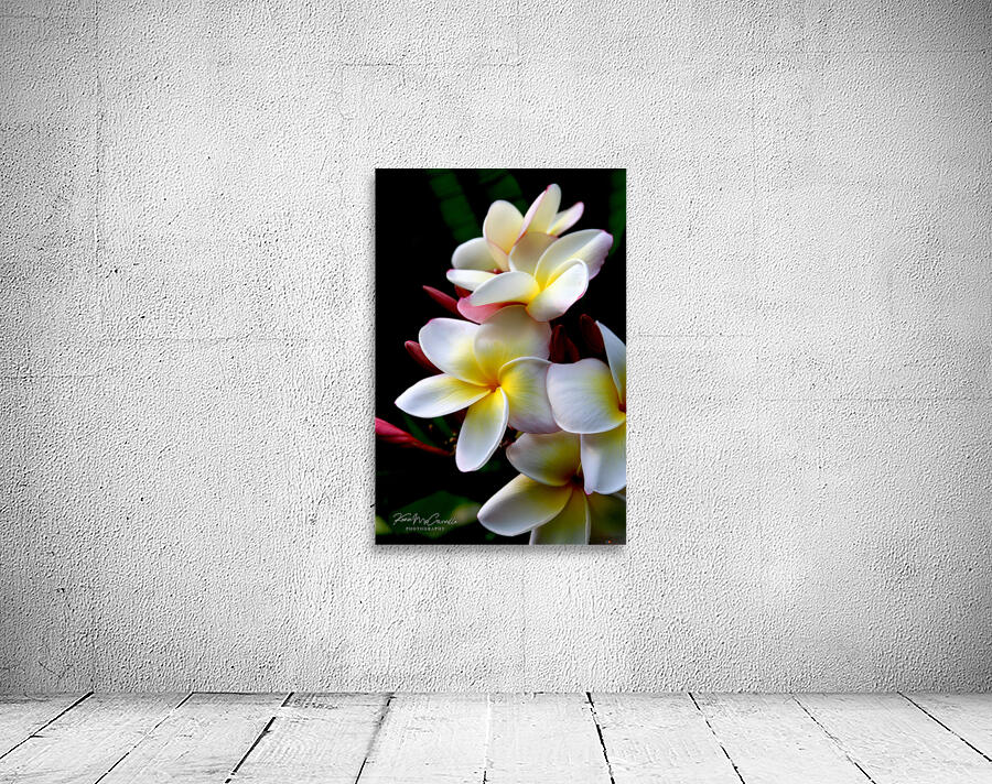 Yellow and White Wall Preview