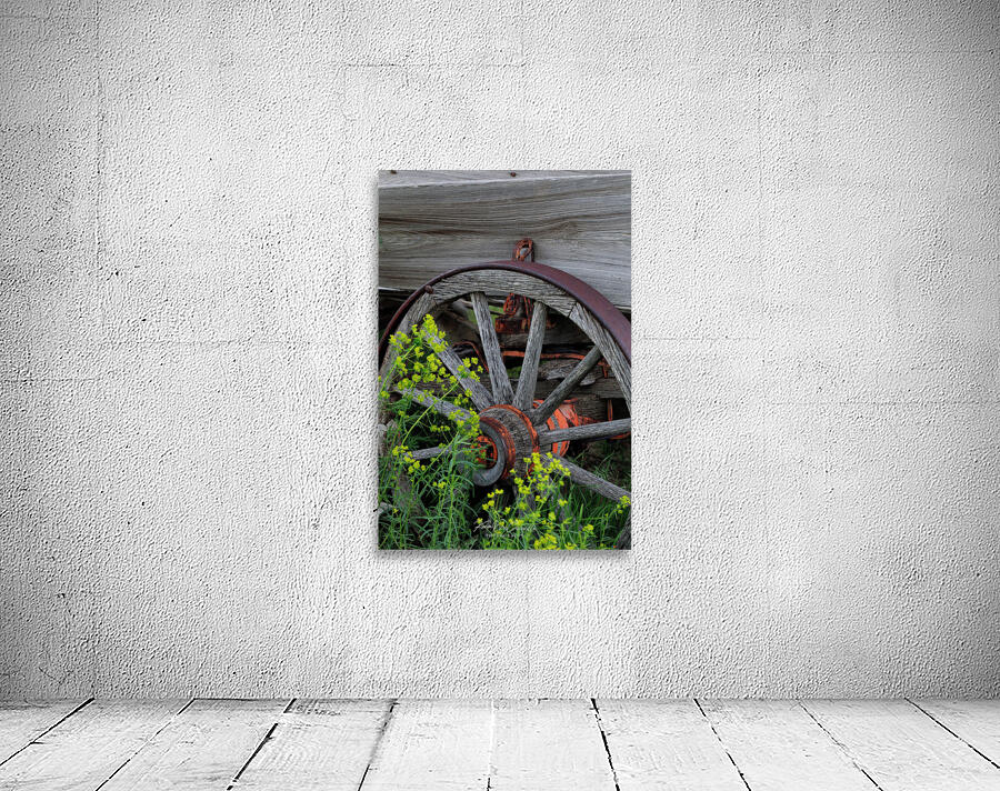 Old Wheel Wall Preview
