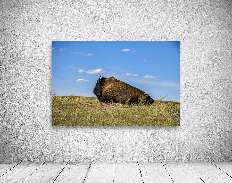 Prairie Guardian Wall Preview