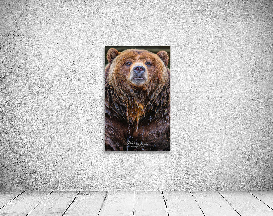 Bear Bath Wall Preview