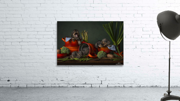 Too late for dinner Wall Preview