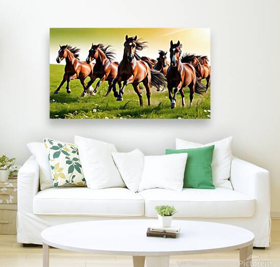 chevaux majestueux by Hamid EL MASMOUDI