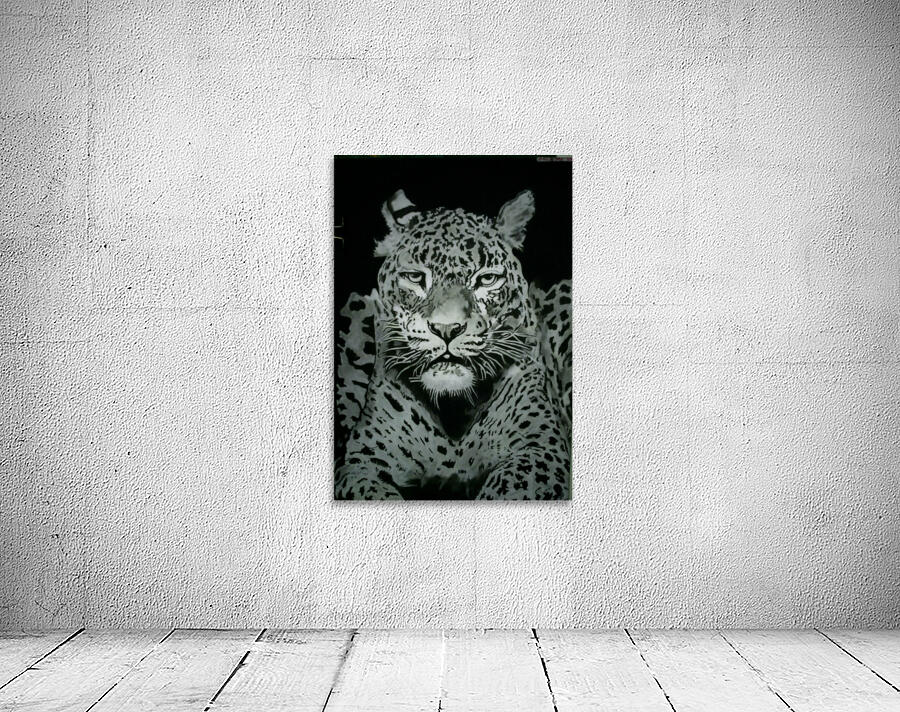 Leopard....☮ Wall Preview