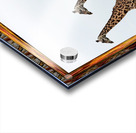 TheoClassic Art Endangered Species Giiraffe08P.JP Acrylic print