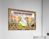 TCAP SHOWCASE LIMITED EDTIONS Njamba Acrylic Print