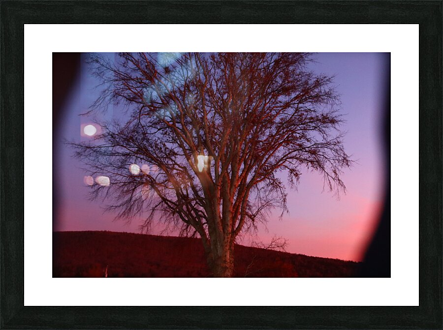 Blurrytree Picture Frame print